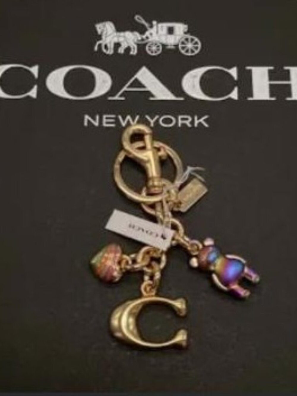Coach Signature Cluster Charm / Keychain
